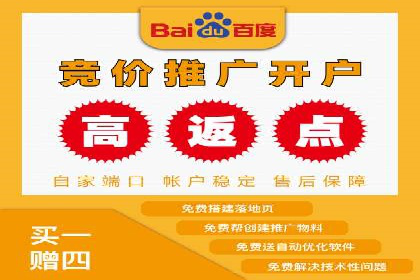 SEO与百度广告的结合：双管齐下的推广案例